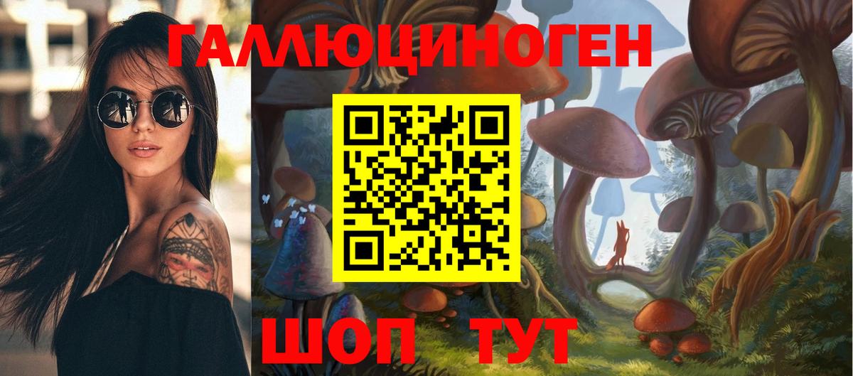 Фурманов  Галлюциногенные грибы MAGIC MUSHROOMS  Вход с VPN 